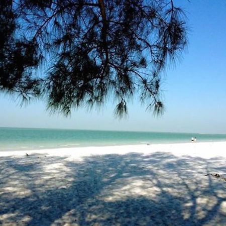 Affordable Beach Condos - One Bedroom Dlx Condos 세인트피트비치 외부 사진